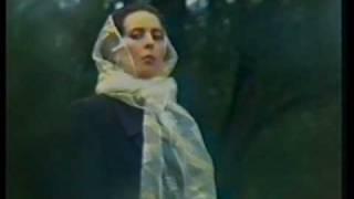Doina Aldea Teodorovici - Rasai