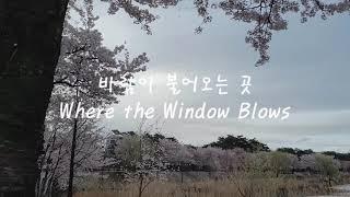 바람이 불어오는 곳 어쿠스틱 커버 Where the wind blows