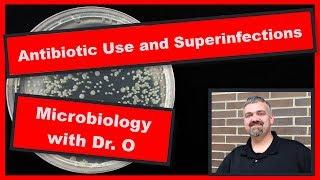 Broad Spectrum Antibiotics and Superinfections:  Microbiology