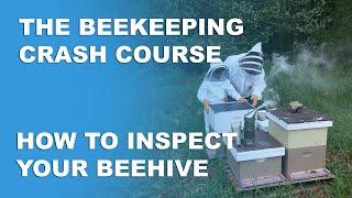 How To Inspect Your Beehive - Beekeeping Basics Part 4 - Beekeeping Crash Course