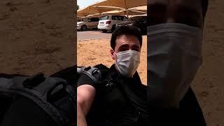 Avoid This Animal in the UAE Desert 