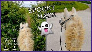 Spooky Solo Hack || GoPro