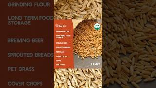 Your source for grains! Non-gmo and organic options. Small to bulk sizes