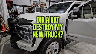 DID A RAT DESTROY MY $105K F450 PLATINUM???