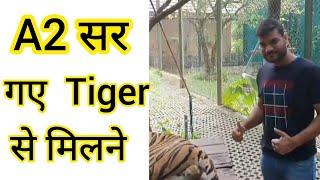 A2 सर गए Tiger के Cage मैं A2 Arvind Arora Zone #arvindarora #a2sir #A2Motivation #shorts