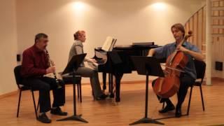 Johannes Brahms, Trio in A minor op.114 - 1 mvt