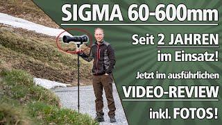 SIGMA 60-600mm 4.5-6.3 Sports 2-JAHRES-REVIEW inkl. Fotos & Statistiken!