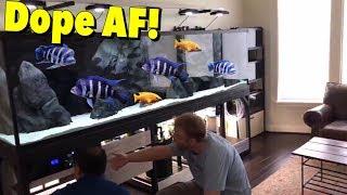 MASSIVE CUSTOM MADE “HOME AQUARIUM” FOR BIG CICHLID FISH, CRAZY!