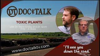 DocTalk Ep 636 - Toxic Plants with Dr. Steve Ensley and Dr. Scott Fritz