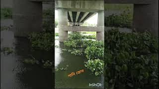 mizan  # short  video #2025