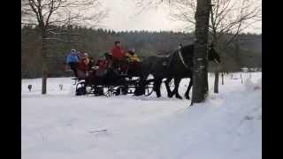 Schlittenfahrt in Ampflwang / Hausruckwald