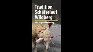 Schwarzwald-Tradition: Der Schäferlauf in Wildberg