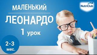 Интеллектуальное развитие ребенка 2-3 месяцев по методике "Маленький Леонардо". Урок 1