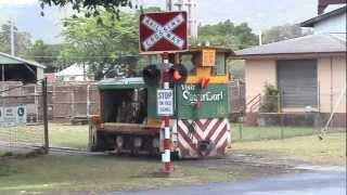 Sugarcane Loco's at Gordonvale Mill, North Queensland.