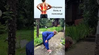 Отличное упражнение от боли в пояснице и в коленях #зож #упражнения #здоровье