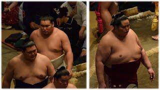 Onosato beats Kotozakura but is battered by Hoshoryu; Kirishima injured twice (Sumo News, Mar 5th)