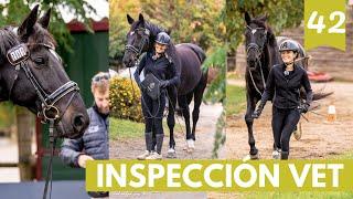  Inspección Veterinaria en Campeonatos: ¿Qué se Revisa y Por Qué?🩺‍️