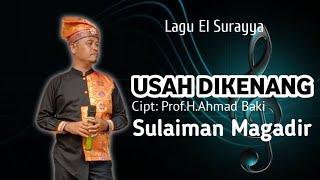 USAH DI KENANG | ELSURAYYA AHMAD BAKI | SULAIMAN MAGADIR COVER