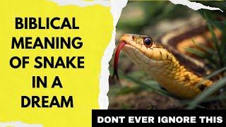 Biblical Meaning of Snakes in Dreams | Dreaming of Snakes Meaning