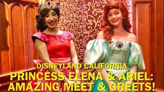 Ariel and Elena of Avalor Said THIS About Each Other?! A Magical Meet & Greet at Disneyland #disney