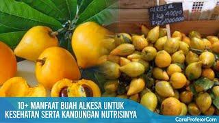 10+ Manfaat buah alkesa untuk kesehatan serta kandungan nutrisinya