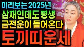 미리보는 2025년 을사년 신년운세 토끼띠운세2025년 평생운 금전운이 들어온다 금전운 대박나는 토끼띠에게 생길 큰 변화들 63년생 75년생 87년생 99년생 토끼띠운세 대운