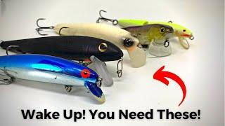 Don’t Miss Out On Wake Baits! The Bite Can Be Amazing!