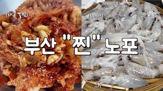 부산 노포 맛집ㅣ조진웅님 원픽 대구뽈찜과 요즘 제철 회 호레기