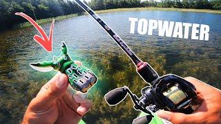 Trying CRAZY TOPWATER LURE for Pike  (Fishing Heavy Cover)