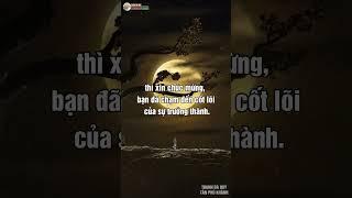 Khi Con Đại Bàng Lựa Chọn Bầu Trời: Cô Độc Là Đôi Cánh Vĩ Đại Của Vinh Quang và Sự Trưởng Thành