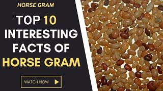 ◼Top 10 Incredible Facts of Horse Gram  Why Should We Add Horse Gram to Our Diet? Horse Gram