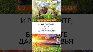 БОГ - КОРЕНЬ ВСЕГО #успех #индия #религия #веды #прабхупада #мудрость #истина #философия #shorts