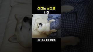 판 레전드 공포썰 [자취]