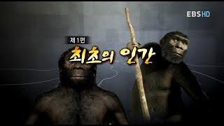 EBS 다큐10 인류의 탄생 1편 최초의 인간