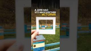 Тысячи пчёл, семья Шишкиных, настоящий алтайский мёд 