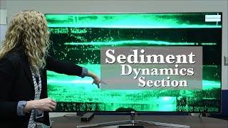 NRL's Sediment Dynamic Section