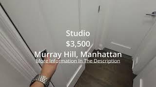 NYC Apartment Tour In Murray Hill, Manhattan