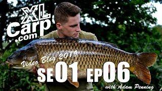 FRYERNING FISHERIES VIDEO BLOG EP 6 MAY/JUNE 2019 WITH ADAM PENNING