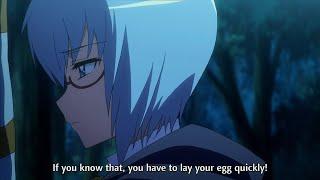 Saito's harem wants to....... lay eggs???? | The Familiar of Zero | Zero no Tsukaima