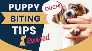 Puppy Biting Tips for New Puppy Owners