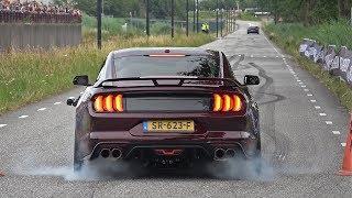 Sportcars & Supercars Accelerating LOUD! BURNOUTS & LOUD SOUNDS!