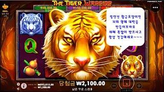 슬롯머신맛집 포탈슬롯 꿀잼 프라그카틱 타이거워리어 The Tiger Warroir 프리스핀 미리보기 어쩔 생활슬롯~~