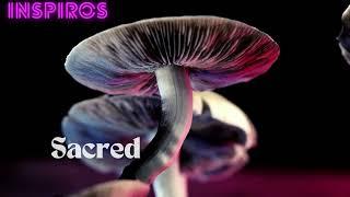 Sacred Mushrooms -  Inspiros - Psy Trance