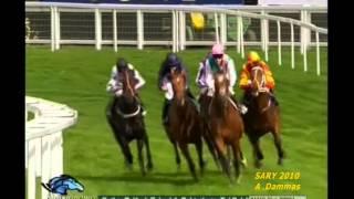 FRANKEL  - Juddmonte Royal Lodge Stakes 2010 G2