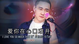 爱你在心口难开I Love You So Much That It’S Hard To Say郝琪力 #djremix