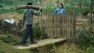 Daily farm life: Woodworking skills, Building a bamboo bridge, family farm