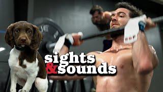 WZA TESTING & PUPPY CUDDLES | SIGHTS & SOUNDS OF TTT | Ep. 19