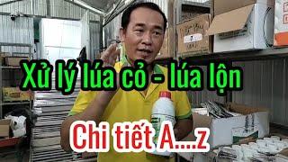 Chia sẻ 15: chi tiết cách xử lý lúa cỏ và cỏ