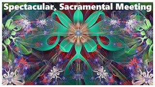 Spectacular, Sacramental Meeting - An Ibogaine Trip Report