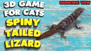 3D game for cats | The spiny-tailed LIZARD (isometric view) | 4K, 60 fps, stereo sound